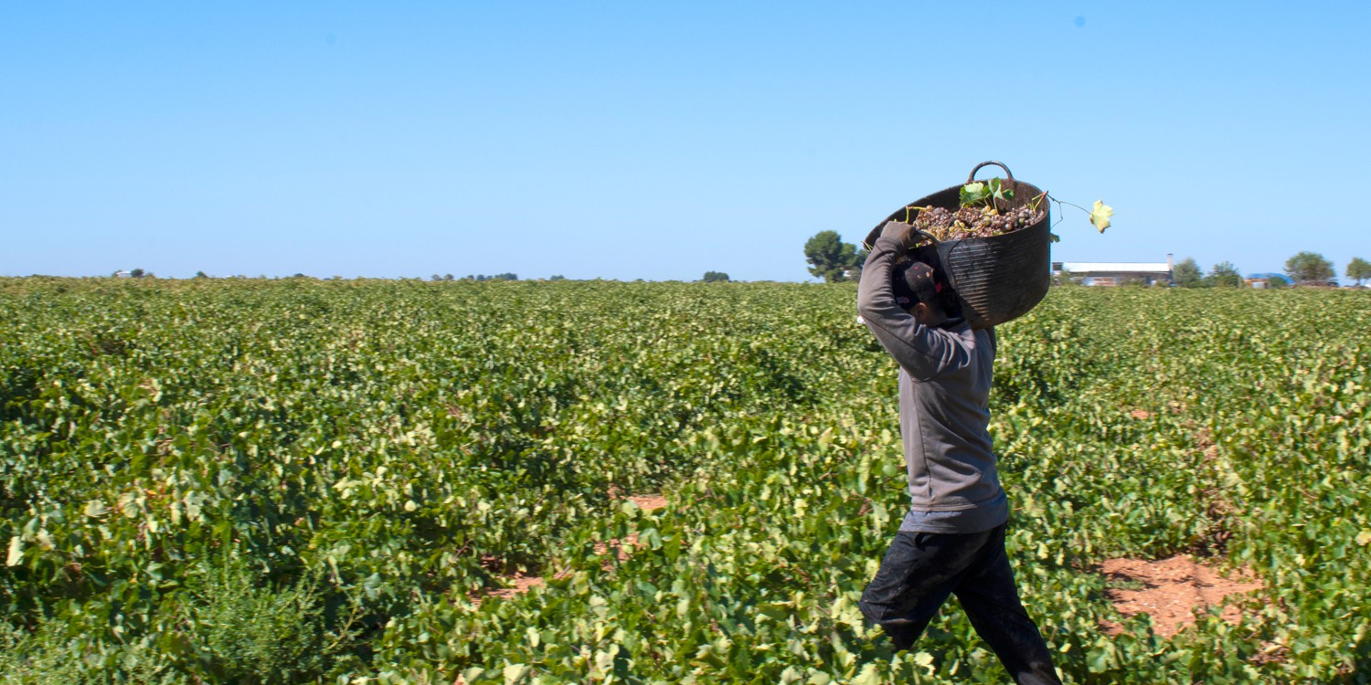 header Torre de Vejezate