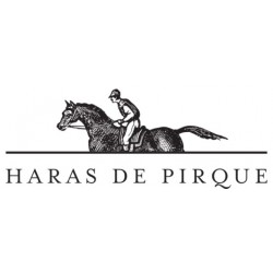 logo Haras de Pirque by Antinori