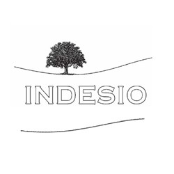 logo Indesio