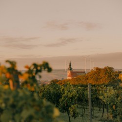 Weingut Ebner-Ebenauer