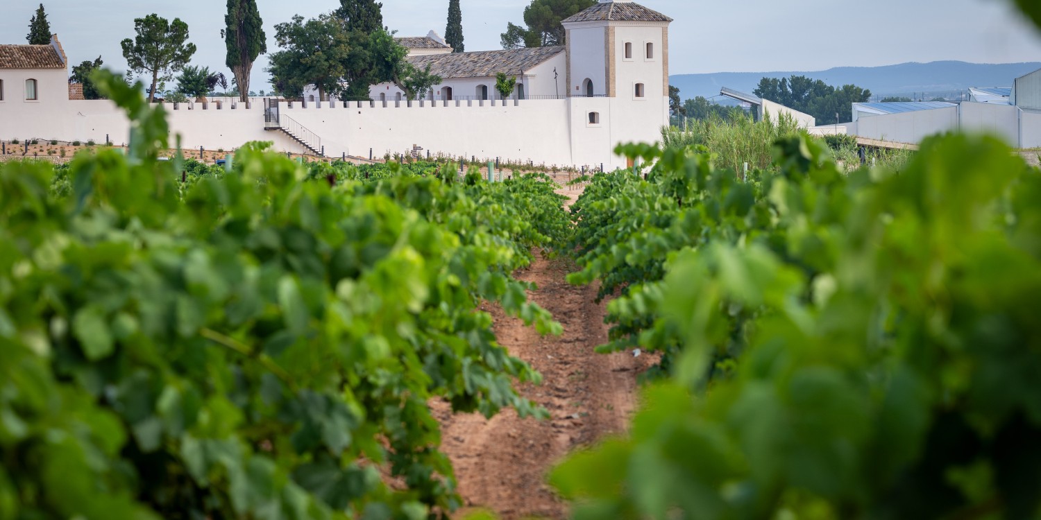 header Raices Ibéricas