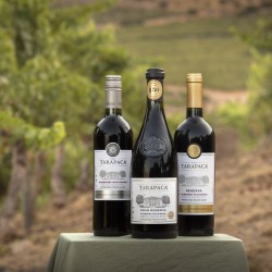 Vina San Pedro Tarapaca