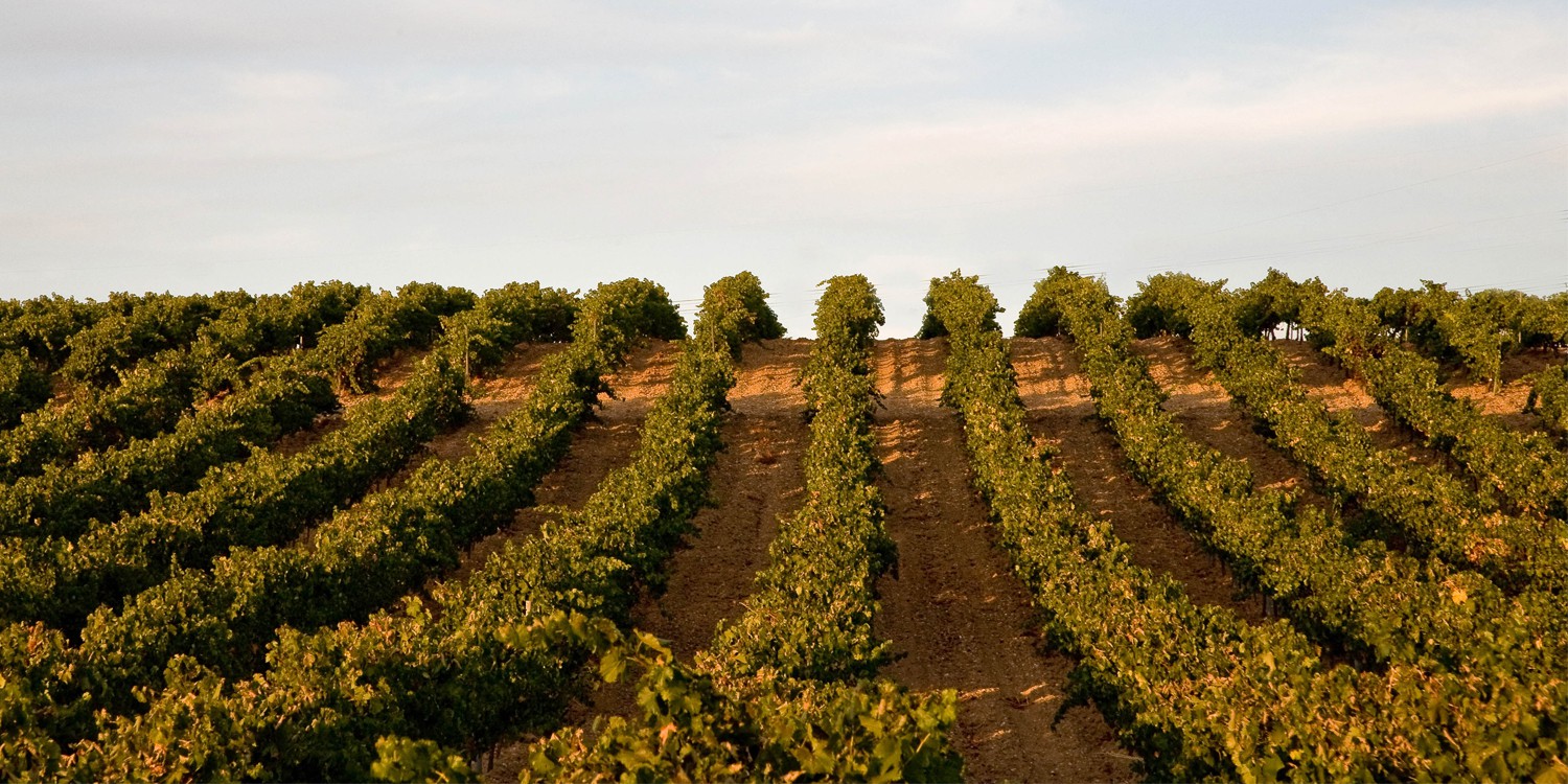 header Bodegas Naia