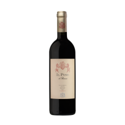 Tenuta di Biserno - Il Pino di Biserno