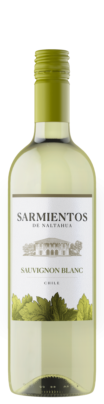 packshot Sarmientos Sauvignon Blanc